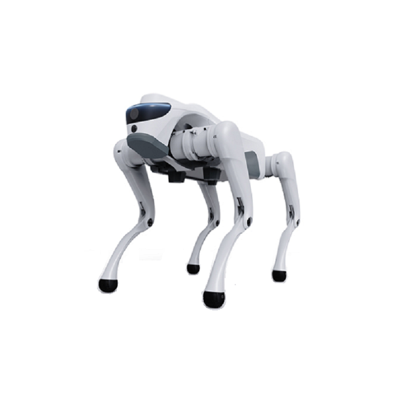Dört Ayaklı Robot Modern Endüstriyel ve Akıllı Uygulamaları Nasıl Dönüştürebilir?