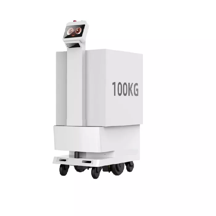 Teslimat Robotu