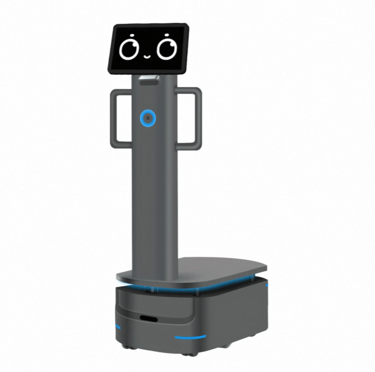 Endüstriyel Teslimat için Ağır Yük Robotu