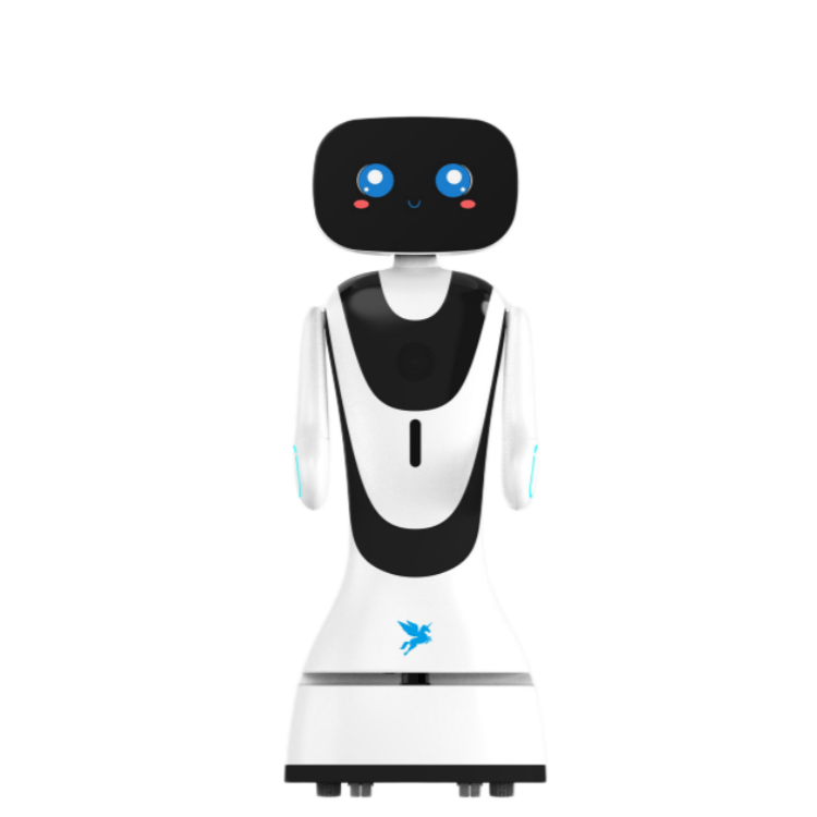 Otel Lobisi Servis robotu